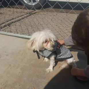 Thankyou 2 the Nissan employee who gave my dad a doggie vest for his pet after getting an oil change 2 our Nissan altima !!!!