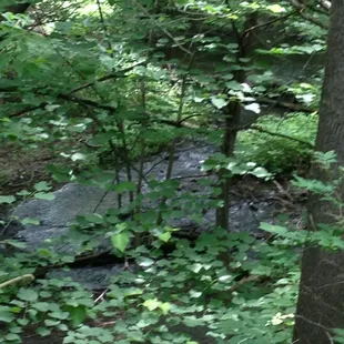 Unwind to the sound of the stream bouncing over the rocks on its way to the nearby St Croix River.  Be sure to hike the trails.