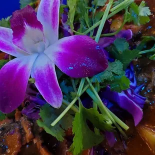 Chicken Panang Mole FANTASTIC! $18
