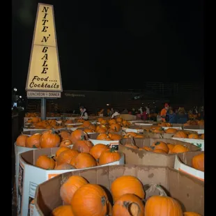 Pumpkin Fest