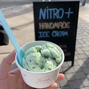 Single scoop of mint chocolate chip ice cream