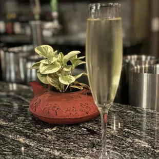 My Moscato