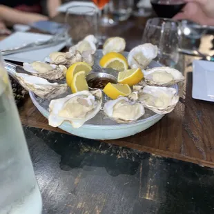 oysters, mussels, food, shellfish, oysters and mussels