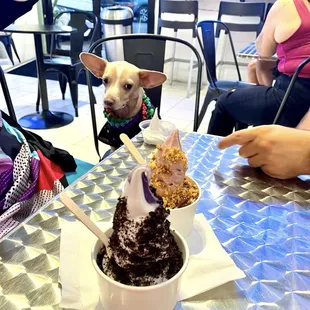 Pup Cup