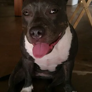 Nalei G.