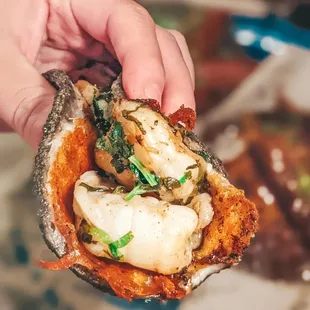 Spicy Shrimp Taco