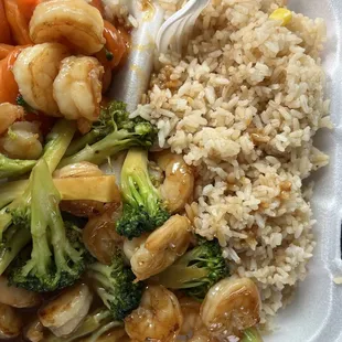 Shrimp + Broccoli