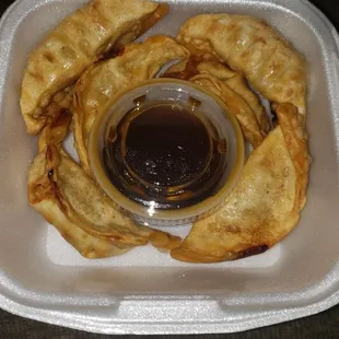 Fried Dumplings
