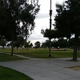 a view of a park with trees and a fire hydrant