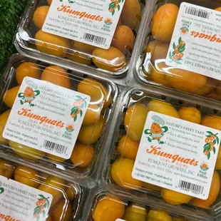 oranges in plastic containers