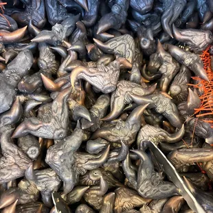 Water Chestnut (Caltrop)