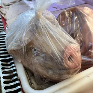 Pig&apos;s Head