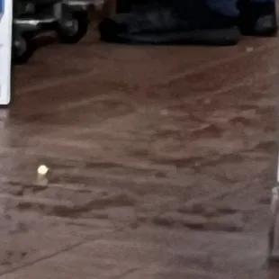 Filthy floor where meat fell