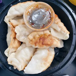 pan fried pork dumplings