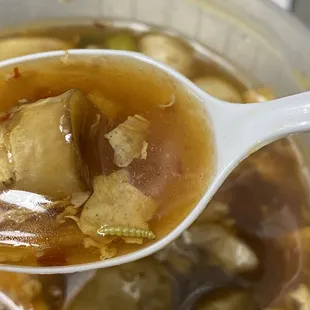 a spoon full of soup