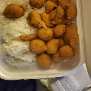 Sweet and Sour Pork - Small, very tasty