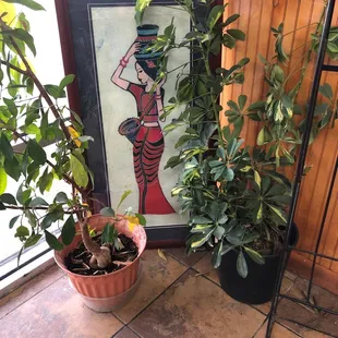 Art and plants