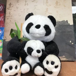 Pandas