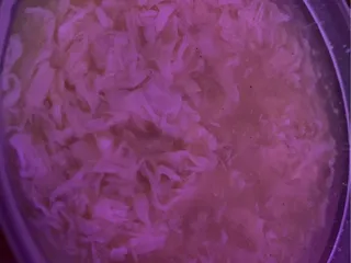 Chinese Express