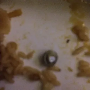 This is the metal piece i found in my chicken