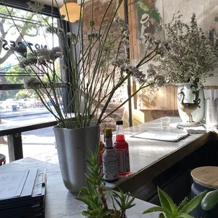 a kitchen counter with potted plants