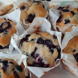 Blueberry muffins