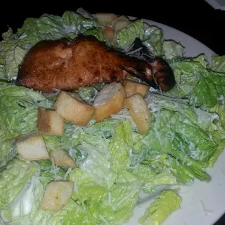 Salmon