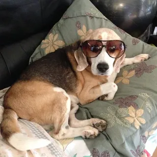 Max Y.