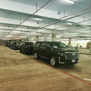 Our fleet in action.