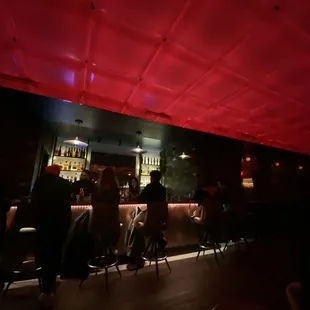 people sitting at the bar