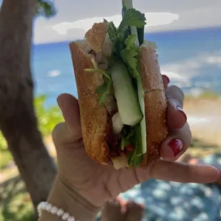 Best sandwich I have ever had!  Sunshine Sandwich