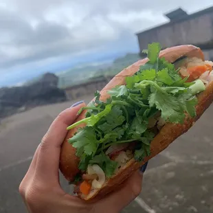 BBQ Beef Sandwich