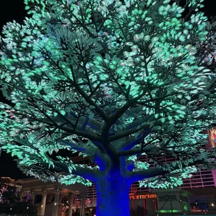 Find the neon green led tree, your treasure awaits underneath.