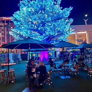 a group of people sitting under umbrellas