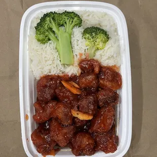 Chicken Served with Orange Flavor with Plain White Rice