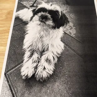 The photo was used to attach to the arrangement!