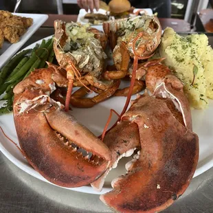 2 Lb. Lobster, whipped potatoes, haricot vert