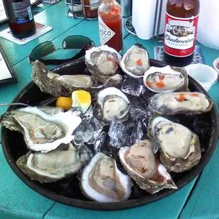 Oysters on the Half Shell