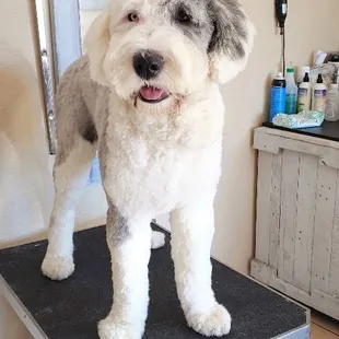 Built like a Build-A-Bear!