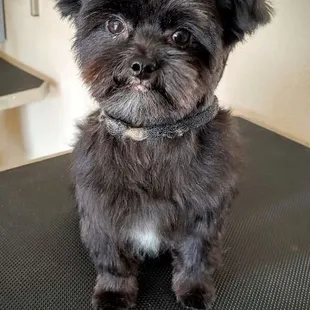 Complimentary cuteness!