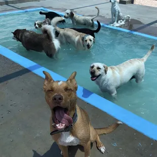 Pool Party!