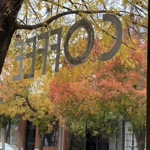 View of a tree in late autumn from inside the store with "coffee" seen backwards.