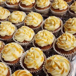 Salted Caramel Cheesecake Cupcakes