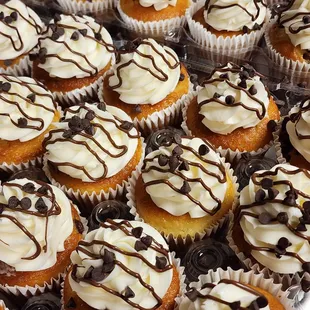 Chocolate chip cupcakes