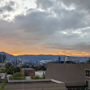 The view