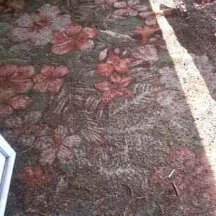 What did I do to deserve this from the park?