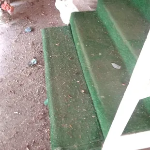 Park created dust storm....