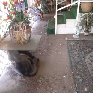 No one answers the phone to report damage.