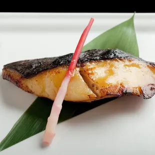 Black Cod Miso