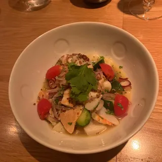 Octopus